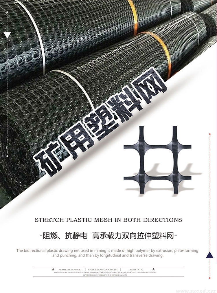 雙向礦用塑料網(wǎng)假頂帶 雙向礦用塑料網(wǎng)假頂帶