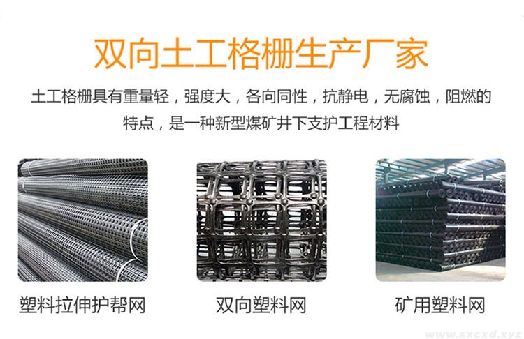 雙向礦用塑料網(wǎng)假頂帶 雙向礦用塑料網(wǎng)假頂帶
