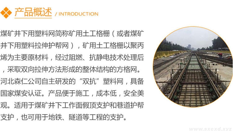 雙向礦用塑料網(wǎng)假頂帶 雙向礦用塑料網(wǎng)假頂帶